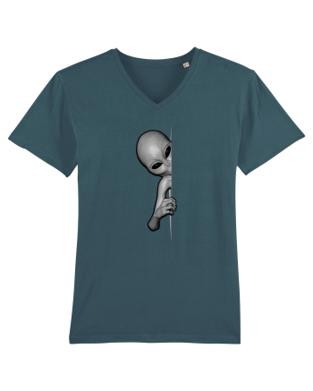 Grey Alien Peeking Stargazer