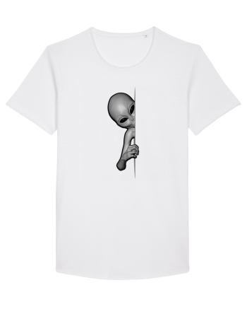 Grey Alien Peeking White