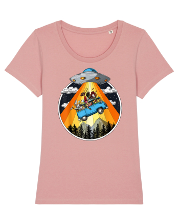 Hippie Van Alien Abduction Canyon Pink