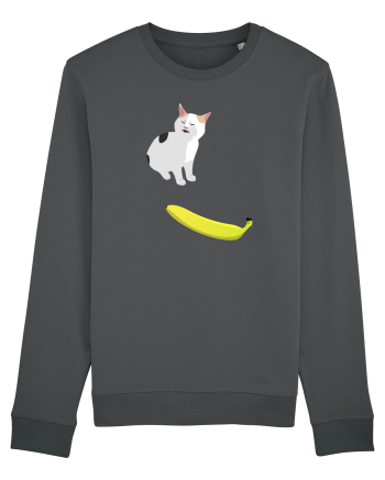 Cat no like banana Anthracite