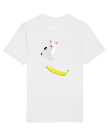 Cat no like banana White
