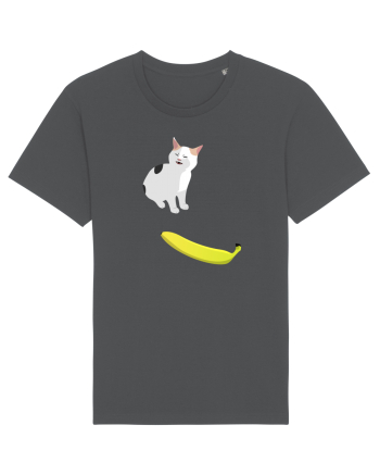 Cat no like banana Anthracite