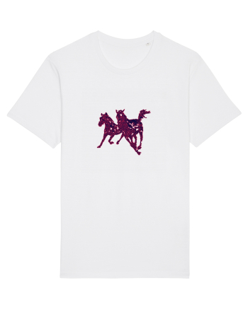 cai alergand White