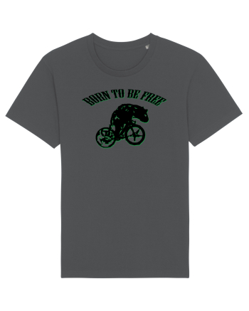 born to be free Anthracite
