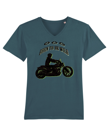 born to be wild Stargazer