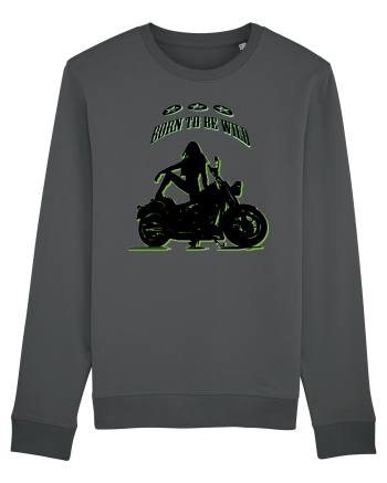 born to be wild Anthracite