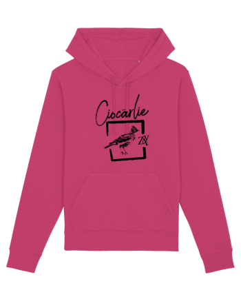 CIOCÂRLIE Raspberry