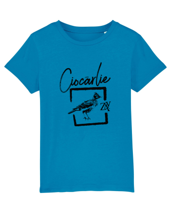 CIOCÂRLIE Azur