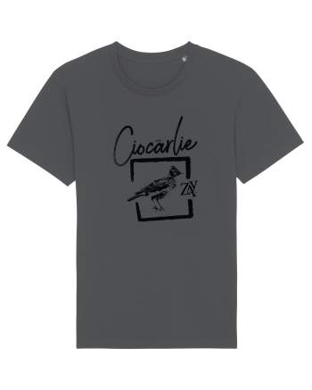 CIOCÂRLIE Anthracite