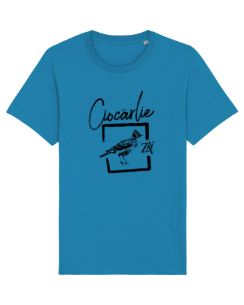 CIOCÂRLIE Azur