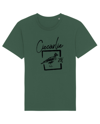 CIOCÂRLIE Bottle Green