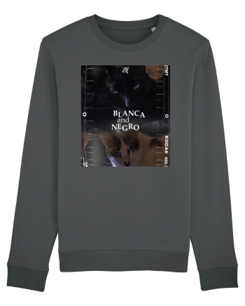 Blanca  and Negro Anthracite