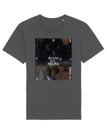 Blanca  and Negro Anthracite