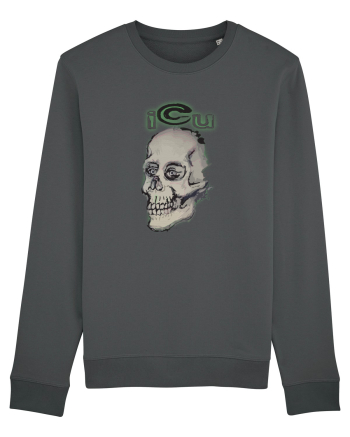 craniu,  Anthracite