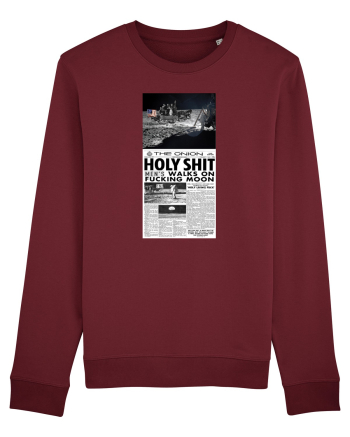 parodie aselenizare Burgundy