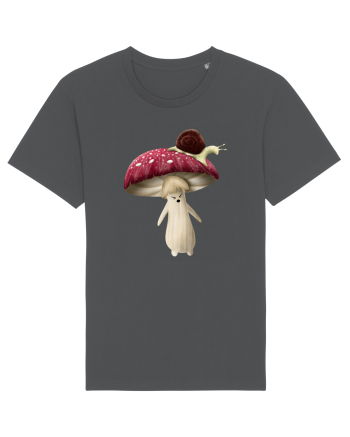 Red Mushroom Anthracite