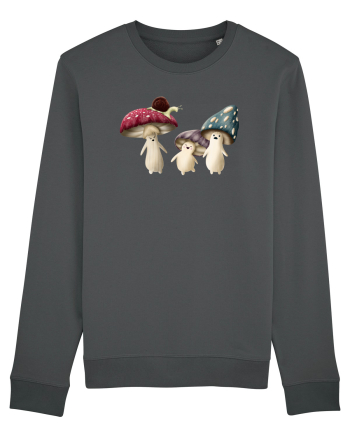 The Mushrooms Anthracite