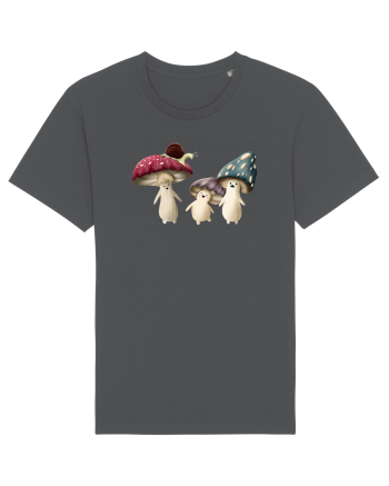 The Mushrooms Anthracite