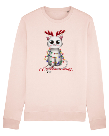 Christmas Kitty Candy Pink
