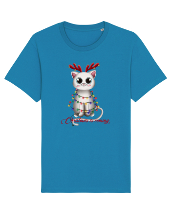 Christmas Kitty Azur