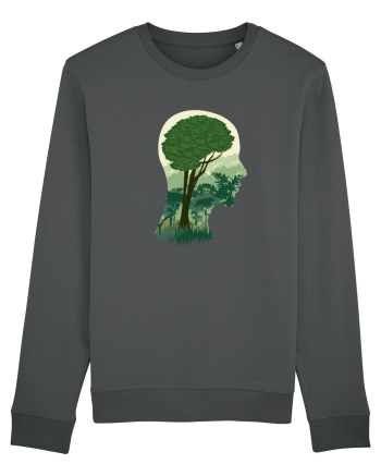 Brain Tree Anthracite