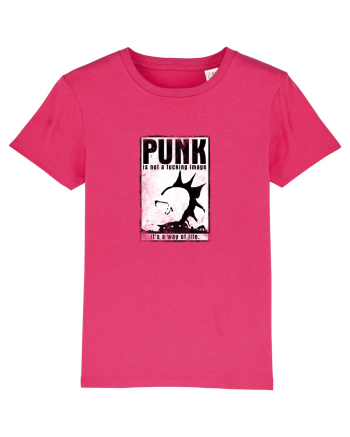 punk it`s a way of life Raspberry