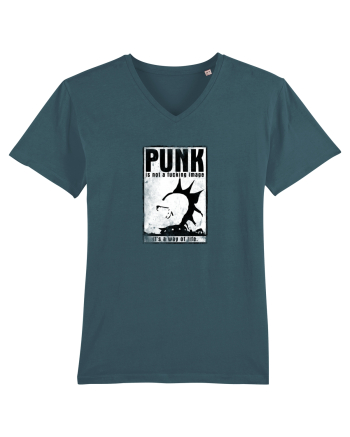 punk it`s a way of life Stargazer