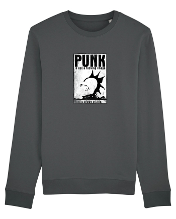 punk it`s a way of life Anthracite