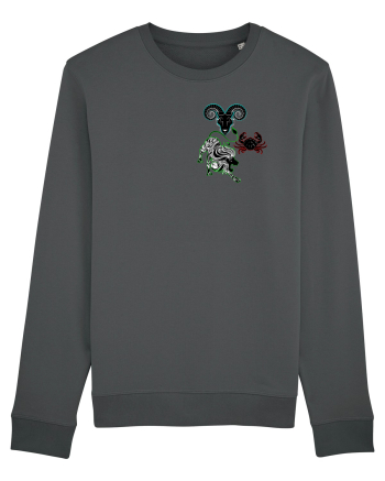 Zodiac de familie Anthracite