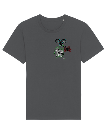 Zodiac de familie Anthracite
