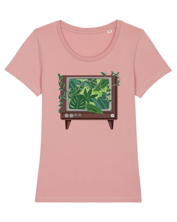 Vintage TV Nature Canyon Pink