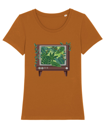 Vintage TV Nature Roasted Orange