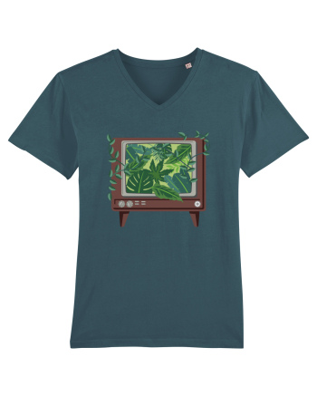 Vintage TV Nature Stargazer