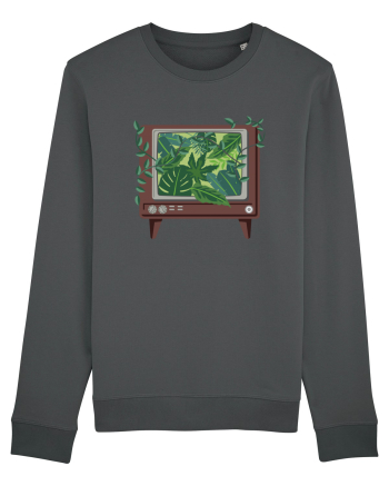 Vintage TV Nature Anthracite