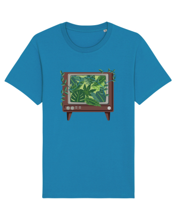 Vintage TV Nature Azur