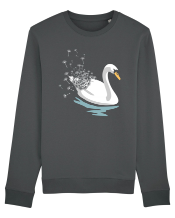 Swan Dandelion Anthracite