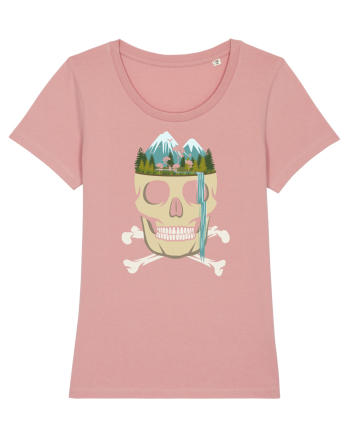 Skull Waterfall Canyon Pink