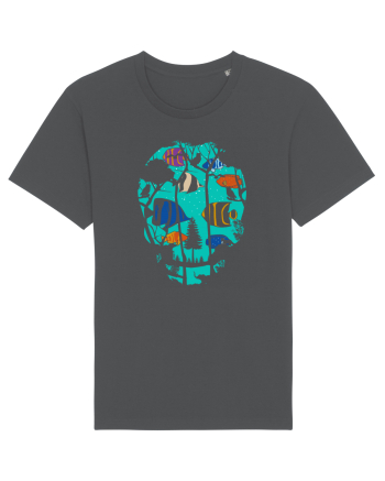 Skull Fish Anthracite