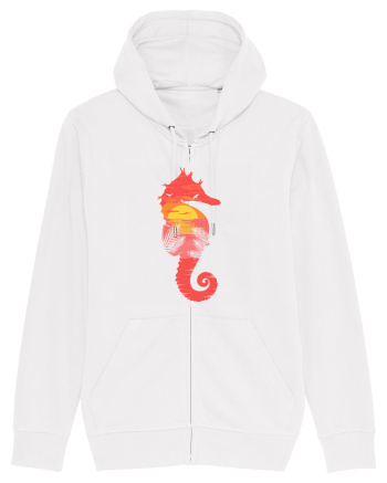 Sea Horse Beach Sunset White