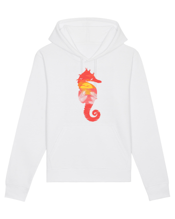 Sea Horse Beach Sunset White