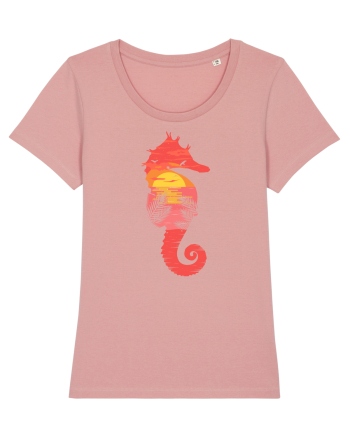 Sea Horse Beach Sunset Canyon Pink