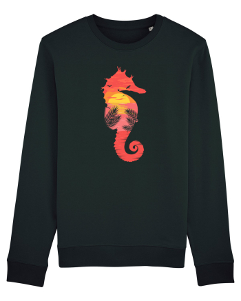 Sea Horse Beach Sunset Black