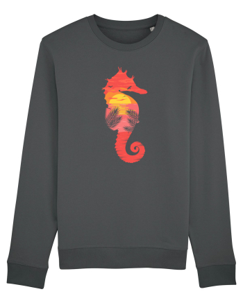 Sea Horse Beach Sunset Anthracite