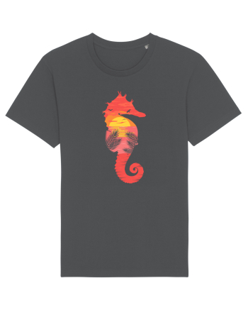 Sea Horse Beach Sunset Anthracite