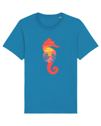 Sea Horse Beach Sunset Azur