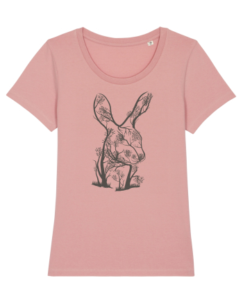 Rabbit Tree Canyon Pink