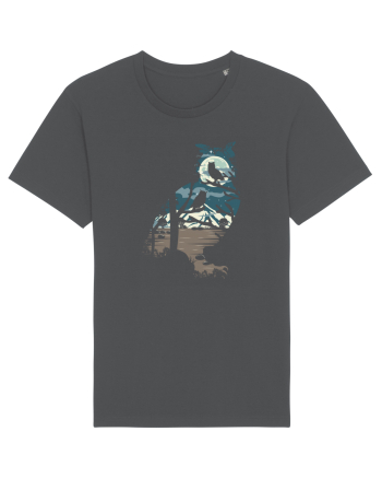 Night Owl Anthracite