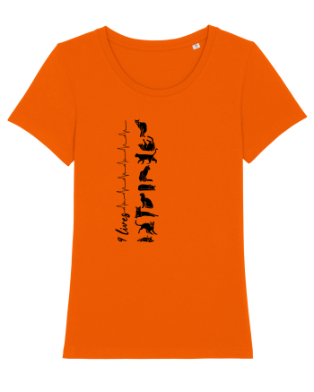 Nouă Vieți de Pisică Bright Orange