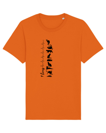 Nouă Vieți de Pisică Bright Orange