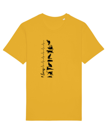 Nouă Vieți de Pisică Spectra Yellow